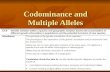 Codominance and Multiple Alleles. 2 of 45© Boardworks Ltd 2009 GenotypePhenotype Codominant alleles Alleles are codominant if they are both expressed.