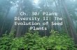 Ch. 30/ Plant Diversity II: The Evolution of Seed Plants.
