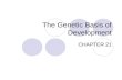 The Genetic Basis of Development CHAPTER 21. Question How does a complex multicellular organism develop from a single cell?