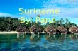 Suriname By: Parul. Fast Facts Capital: Paramaribo Largest City: Paramaribo Currency: Suriname Dollar Land: 63,038 sq miles Official language: Dutch Population: