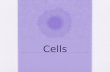 Cells. Cell Theory All organisms are composed of one or more cells Cells are the smallest units of life All cells come from pre-existing cells.