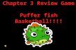 Chapter 3 Review Game Puffer fish Basketball!!!!