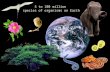 5 to 100 million species of organisms on Earth. All organisms on Earth are genetically related.