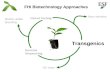FHI Biotechnology Approaches Genome Sequencing Clonal Testing Transgenics Marker-aided breeding New varieties GE trees.