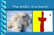 The Arctic: in a hurry! Arctic Geography Sparsely populated (approximately 40 000 people)Sparsely populated (approximately 40 000 people) Long periods.