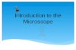 Introduction to the Microscope  History  Types  Care  Parts  Focusing.