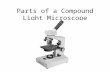 Parts of a Compound Light Microscope. Definition of a microscope An instrument that magnifies very tiny things in order to make them appear larger.