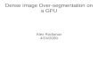 Dense Image Over-segmentation on a GPU Alex Rodionov 4/24/2009.
