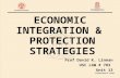 ECONOMIC INTEGRATION & PROTECTION STRATEGIES Prof David K. Linnan USC LAW # 783 Unit 13.