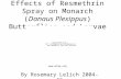 Effects of Resmethrin Spray on Monarch (Danaus Plexippus) Butterflies and Larvae By Rosemary Lelich 2004-05 .
