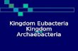 Kingdom Eubacteria Kingdom Archaebacteria. Kingdoms Eubacteria/Archaebacteria Eubacteria contain bacteria cells with cell walls made of peptidoglycan.