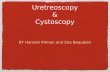 Uretreoscopy & Cystoscopy BY Hannah Pitman and Zoe Beaudoin.