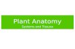 Plant Anatomy Systems and Tissues. Plant Structure Root and shoot systems are made up of basic plant organs: roots, leaves, stems, flowers.