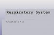 Respiratory System Chapter 37-3. What is Respiration?  Respiration is not just breathing in oxygen  Once oxygen is pulled into the lungs, it is carried.