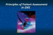 Principles of Patient Assessment in EMS. Comprehensive Exam and Health Assessment.