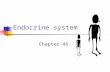 Endocrine system Chapter 45. Endocrine system Regulation & communication Blood system Glands (ductless) Hormones (chemicals) Target tissues.