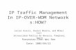 IP Traffic Management In IP- OVER-WDM Networks:HOW? Javier Aracil, Daniel Morato, and Mikel Izal Universidad Publica de Navarra, Pamplona, Spain Presenter:Chen.
