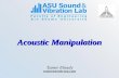 Acoustic Manipulation Tamer Elnady tamer@svlab-asu.com.