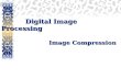 Digital Image Processing Image Compression. ALI JAVED Lecturer SOFTWARE ENGINEERING DEPARTMENT U.E.T TAXILA Email:: alijaved@uettaxila.edu.pkalijaved@uettaxila.edu.pk.