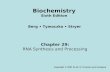 Chapter 29: RNA Synthesis and Processing Copyright © 2007 by W. H. Freeman and Company Berg Tymoczko Stryer Biochemistry Sixth Edition.