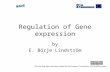 Regulation of Gene expression by E. Börje Lindström This learning object has been funded by the European Commissions FP6 BioMinE project.