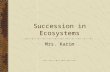 Succession in Ecosystems Mrs. Karim. Succession- a gradual changes in a community over a period of time. new populations of organisms gradually replace.