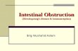 Intestinal Obstruction (Hirschsprung’s Disease & Intussusception) Brig Mushahid Aslam.