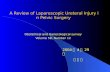 A Review of Laparoscopic Ureteral Injury in Pelvic Surgery Obstetrical and Gynecological survey Volume 58, Number 12 2004 년 4 월 29 일 임 종 인.