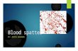 Blood spatter BY: JUSTIN GRANADOS. Forensic science  Forensic science is the practical application of science to the matters of the law.