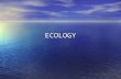 ECOLOGY. Ecology – the scientific study of interactions among organisms and between organisms and their environment.