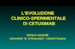 Stefano Iacobelli Università “G. D’Annunzio”- Chieti-Pescara L’EVOLUZIONE CLINICO-SPERIMENTALE DI CETUXIMAB.