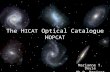 The H ICAT Optical Catalogue H OPCAT Marianne T. Doyle Ph.D. Project.