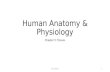 Human Anatomy & Physiology Chapter 5: Tissues Panda Wilson1.