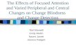 The Effects of Focused Attention and Varied Peripheral and Central Changes on Change Blindness and Change Detection Teal Maxwell Emily Welch Naomi Janett.