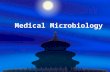 Medical Microbiology. Introduction Microorganisms(Microbes) Microbiology Medical Microbiology.