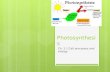 Photosynthesis Ch. 2.1 Cell processes and energy.