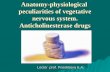 Anatomy-physiological peculiarities of vegetative nervous system. Anticholinesterase drugs Lector prof. Posokhova K.A.