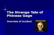 The Strange Tale of Phineas Gage Overview of Incident.
