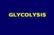 GLYCOLYSIS. TransporterLocationCharacteristics Na + /glucose transporters GutGlucose-sodium symport Na+ independent facilitated diffusion-transporters.