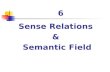 6 Sense Relations & Semantic Field. 6. Sense Relations & Semantic Field Sense relations: Polysemy Homonymy Synonymy Antonymy Hyponymy Semantic field.