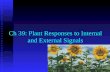 Ch 39: Plant Responses to Internal and External Signals.