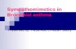 Sympathomimetics in Bronchial asthma Presented by :Heba Abd El-fattah Sabry.