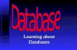 Learning about Databases. What is a Database? A Database is an organized collection of related information.