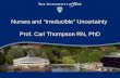 Nurses and “irreducible” Uncertainty Prof. Carl Thompson RN, PhD.