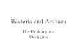 Bacteria and Archaea The Prokaryotic Domains. Prokaryotic Complexity Figure 4.5.