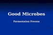Good Microbes Fermentation Process. Goal of Metabolism Utilize food (sugars) in order to store energy in the form of ATP. Differences between prokaryotes.