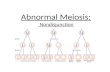 Abnormal Meiosis: Nondisjunction. Disorders Caused by Nondisjunction of Autosomal Chromosomes: There only 3 autosomal trisomies that result in a baby.