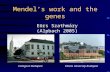 Mendel’s work and the genes Collegium BudapestEötvös University Budapest Eörs Szathmáry (Alpbach 2005)