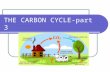 THE CARBON CYCLE-part 3. Carbon Cycle The same carbon atoms are used over and over on earth. They cycle between the earth & the atmosphere.