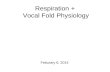 Respiration + Vocal Fold Physiology Feburary 6, 2014.